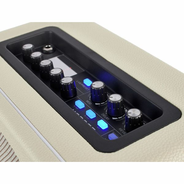 Mooer Hornet Modeling/BT Combo WH