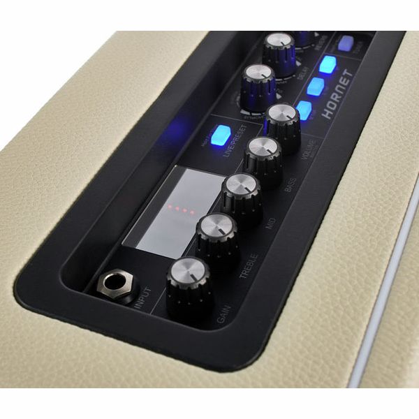 Mooer Hornet Modeling/BT Combo WH