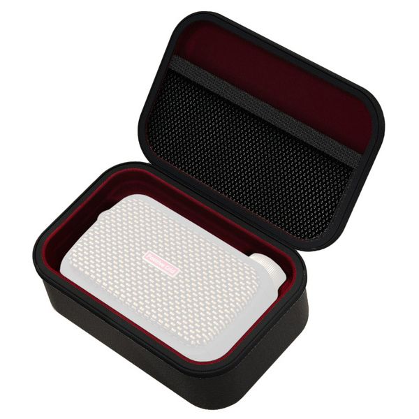 Positive Grid Spark Go Case