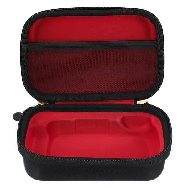 Positive Grid Spark Go Case
