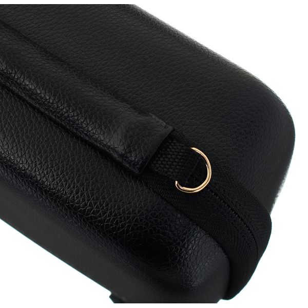 Positive Grid Spark Go Case