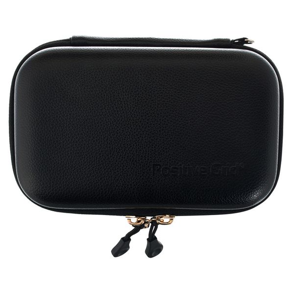 Positive Grid Spark Go Case