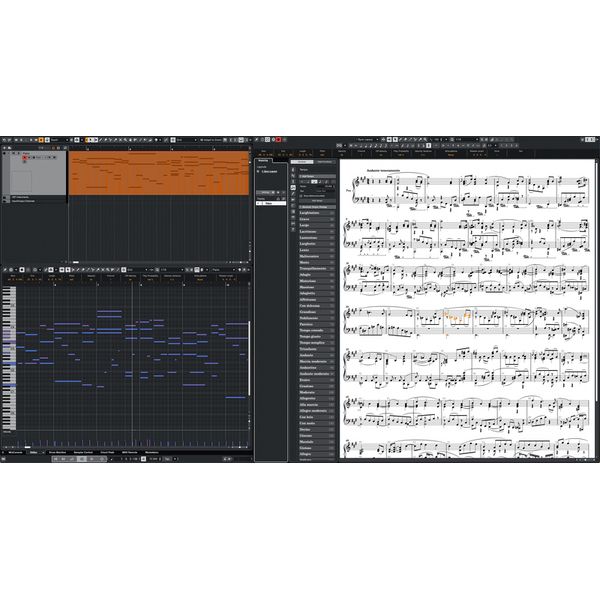Steinberg Cubase Elements 15 EDU