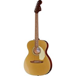 Acoustic Guitars